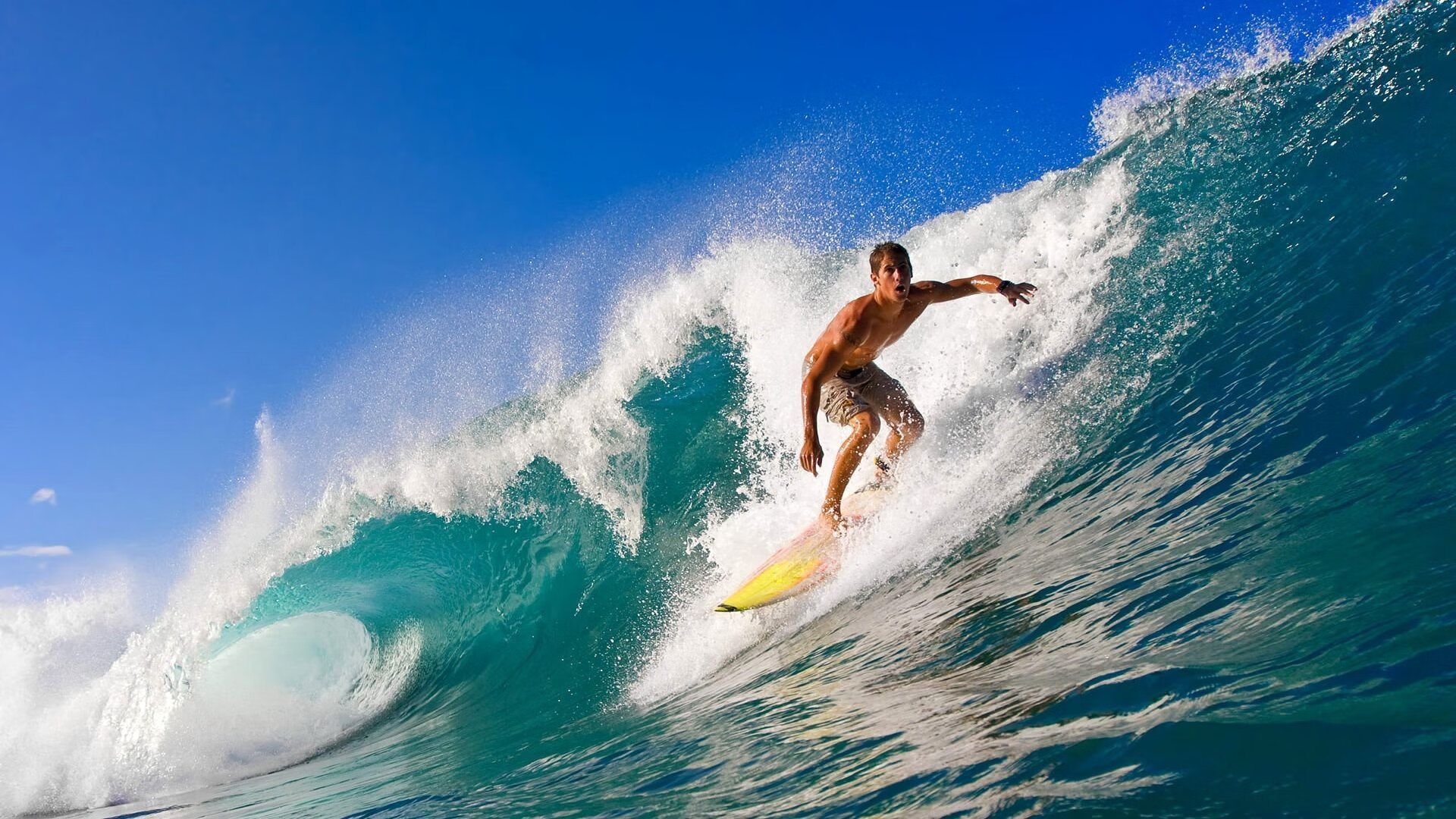 _篮网队实力出众，继续领跑联盟_，你知道篮网队吗